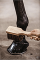 Kentucky Hoof Brush