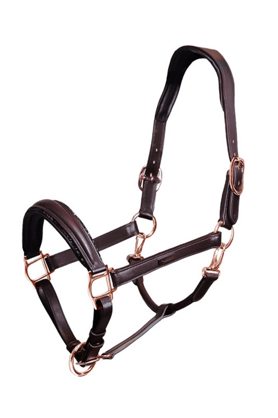Equestrian Stockholm Anatomic Leather Halter Moonless Night – Canterbury  Equestrian