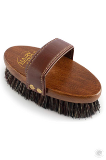  Hairy Pony Dandy Brush