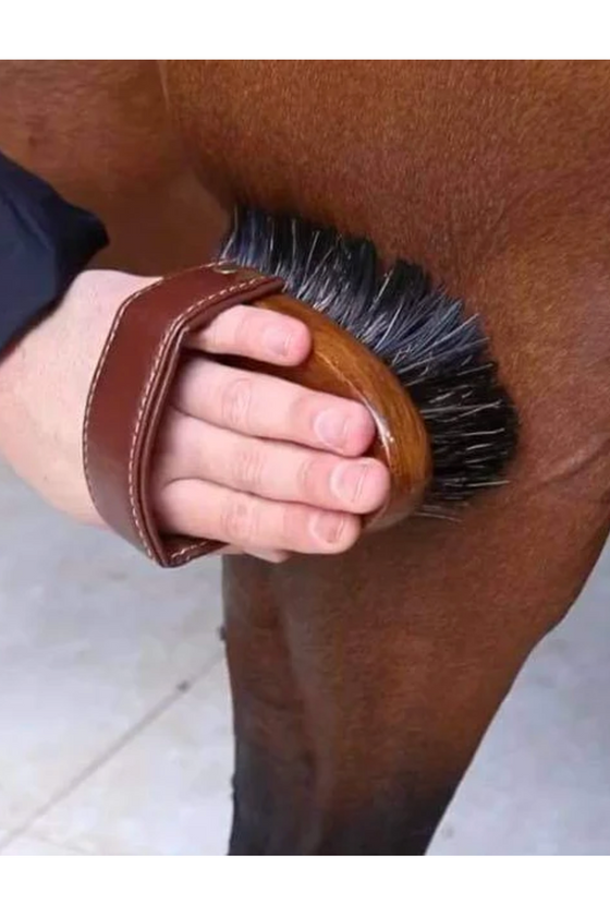 Hairy Pony Dandy Brush