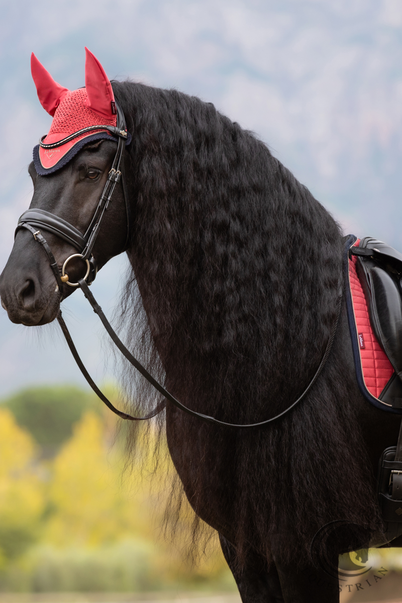 LeMieux Suede Dressage Square Cranberry