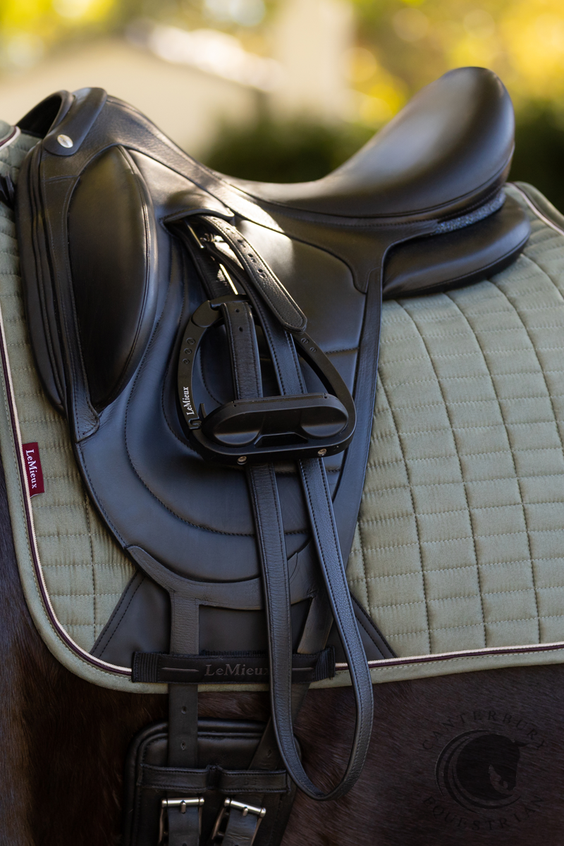 LeMieux Suede Dressage Square Rosemary