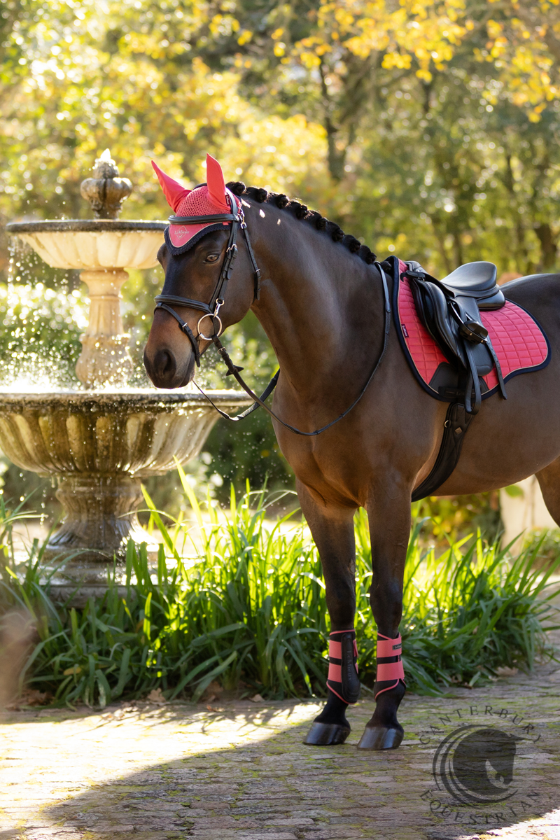 LeMieux Suede GP Square Cranberry