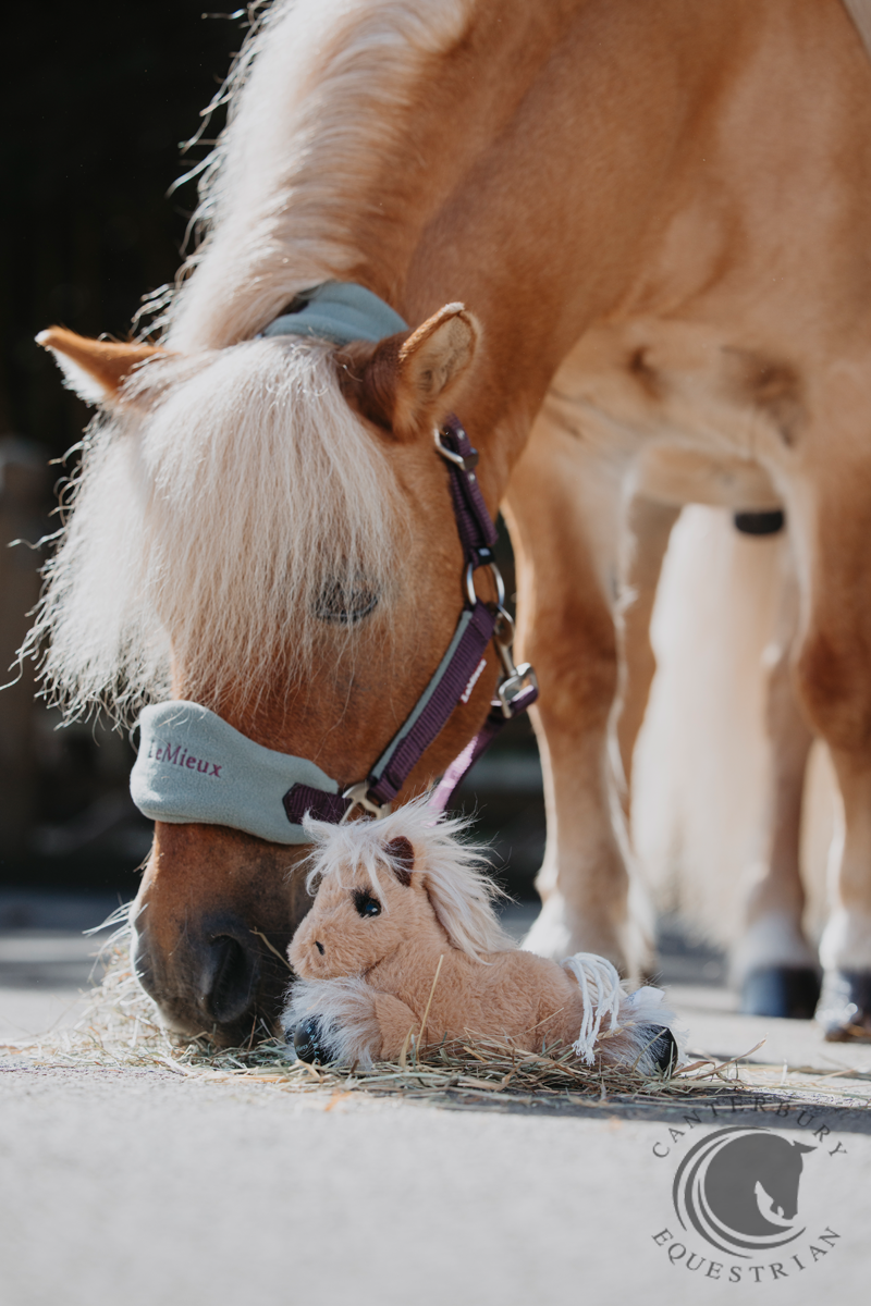 LeMieux Harlow Tiny Beanie Pony Cloudy