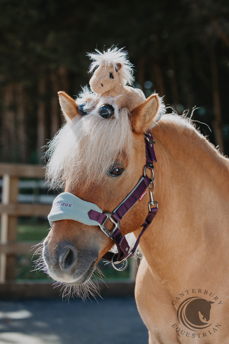 LeMieux Harlow Tiny Beanie Pony Cloudy