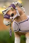 LeMieux Toy Pony Vogue Headcollar & Leadrope Lilac
