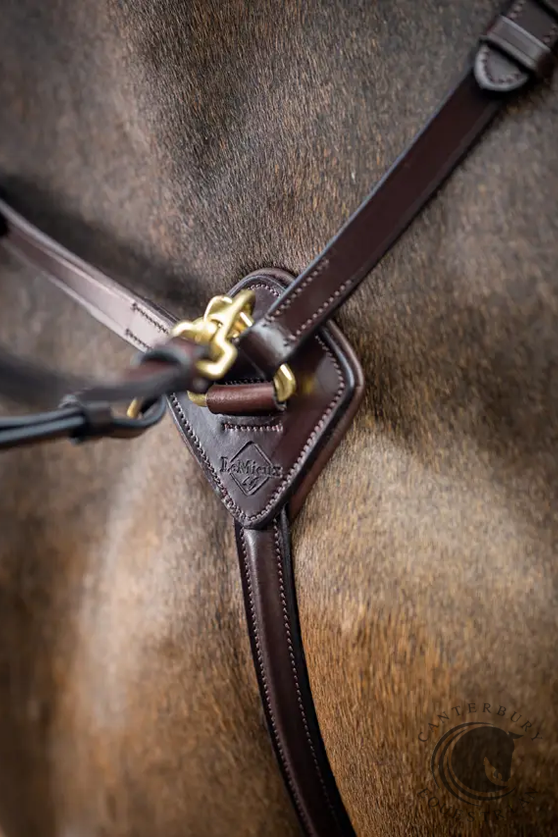 LeMieux Breastplate (D-Ring Attachment) Havana/Brass