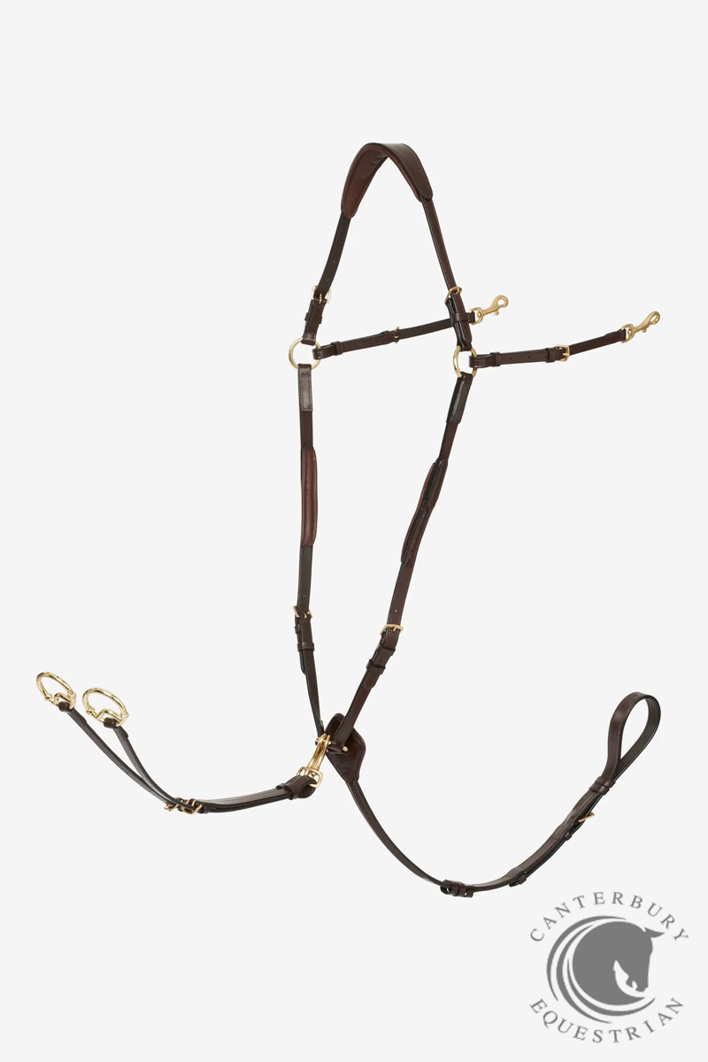 LeMieux Breastplate (D-Ring Attachment) Havana/Brass