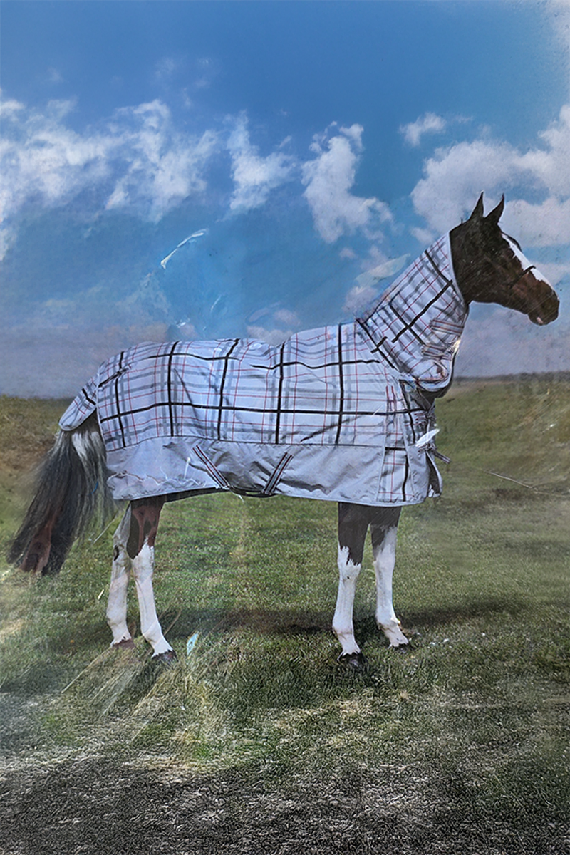 Horze Nevada 1200D Light Combo 100g