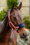 LeMieux Vogue Headcollar & Leadrope Cranberry