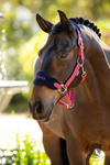 LeMieux Vogue Headcollar & Leadrope Cranberry