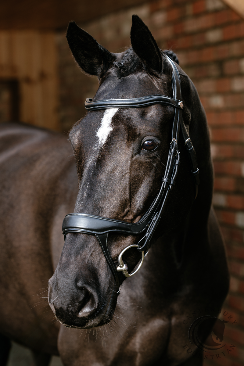 LeMieux Arika Split Noseband Bridle Black