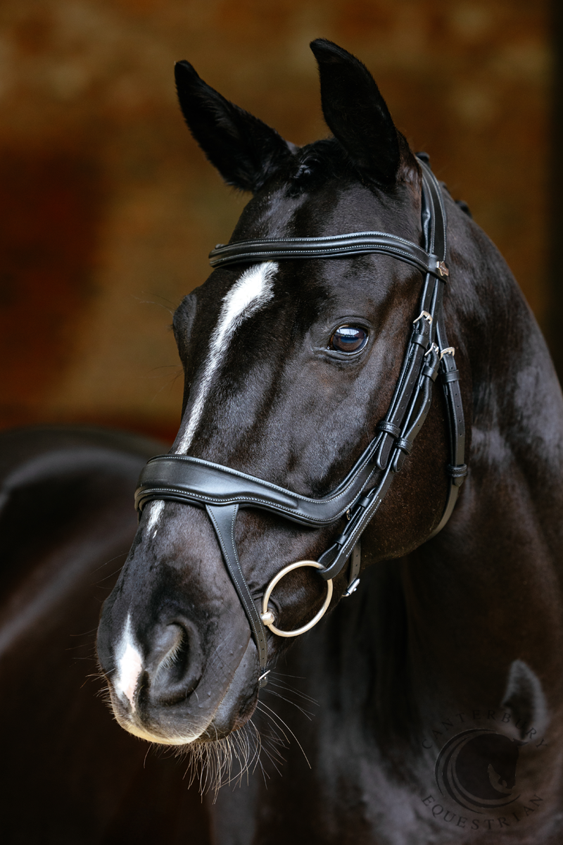 LeMieux Arika Split Noseband Bridle Black