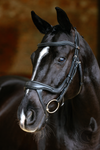 LeMieux Arika Split Noseband Bridle Black