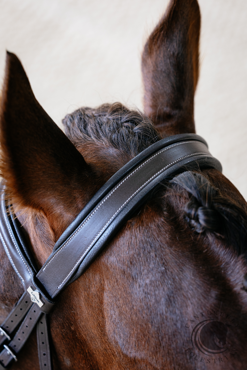 LeMieux Arika Split Noseband Bridle Brown