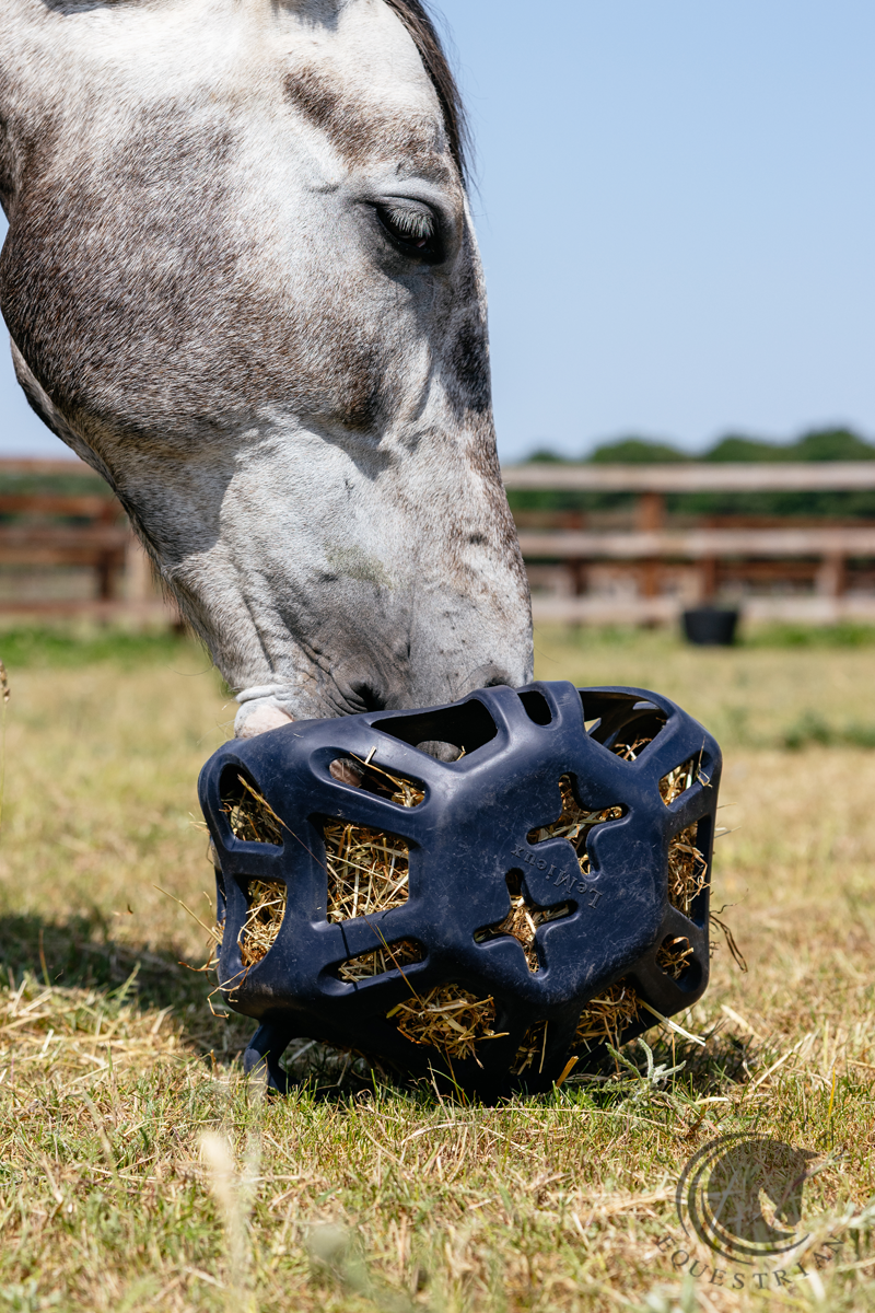 LeMieux Hay Ball Navy