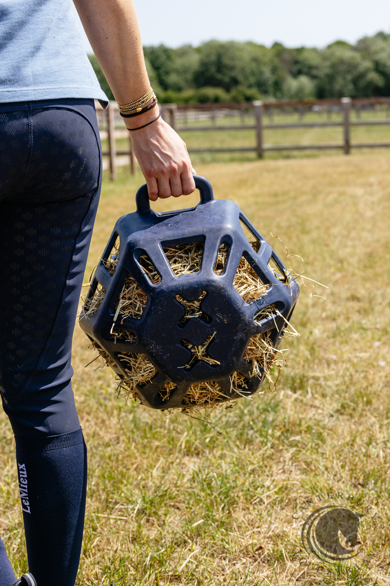 LeMieux Hay Ball Navy