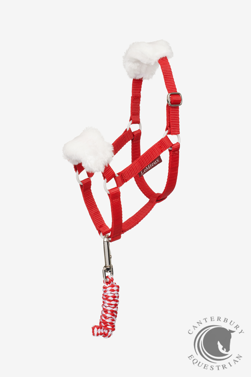 LeMieux Hobby Horse Christmas Headcollar & Leadrope Red