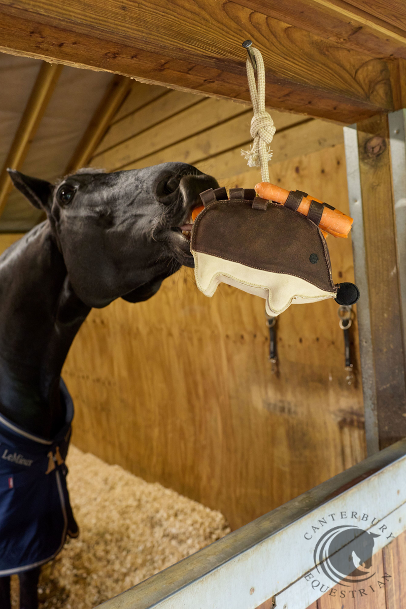 LeMieux Horse Toy Hedgehog