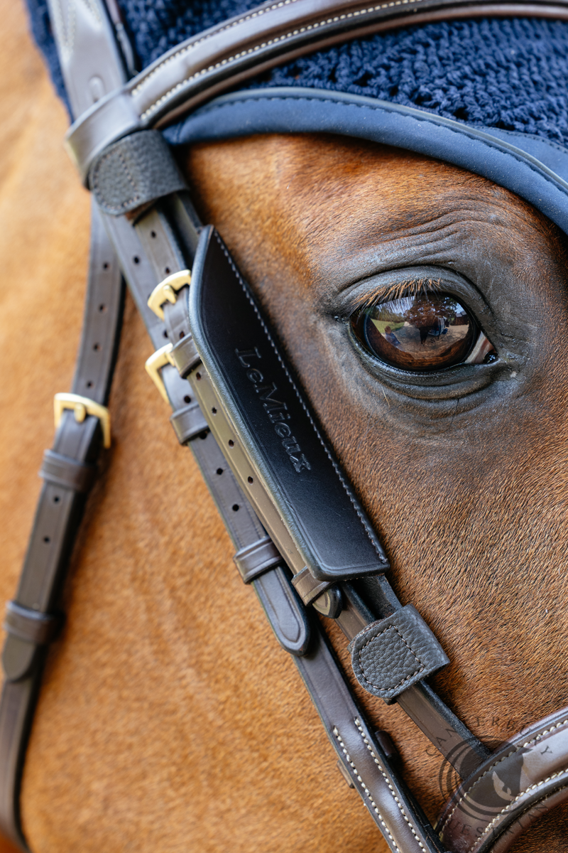 LeMieux Leather Bridle Blinkers Brown