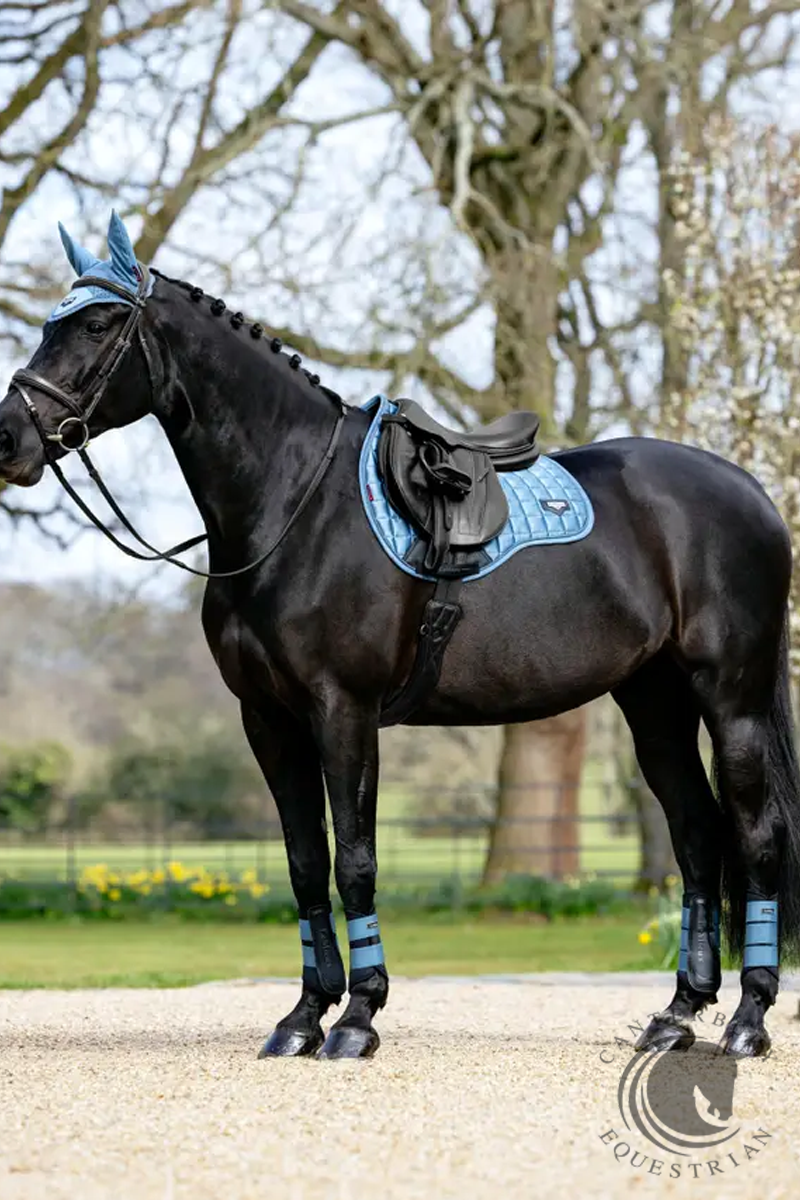 LeMieux Loire Classic GP Square Ice Blue