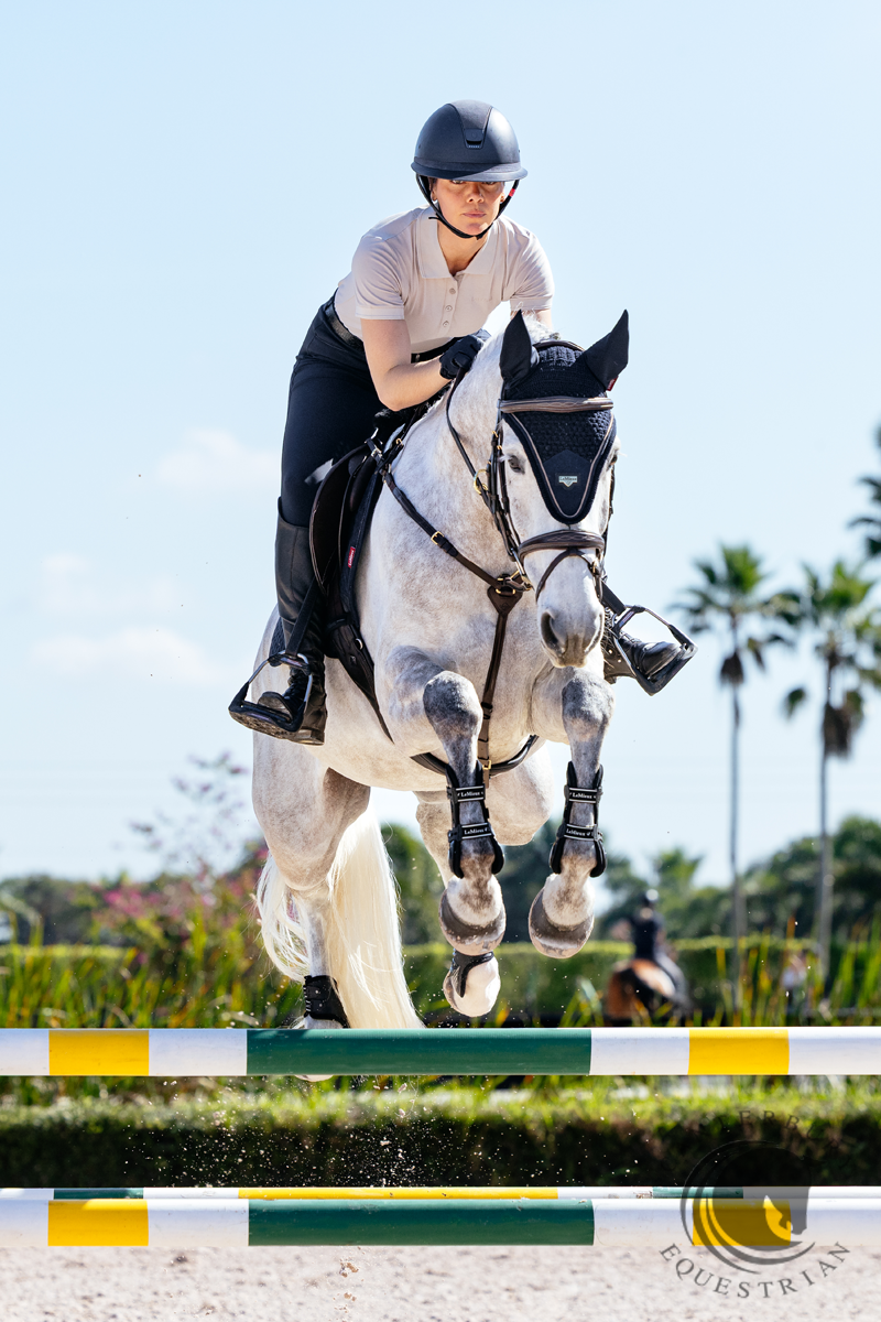 LeMieux Puissance Fly Hood Navy