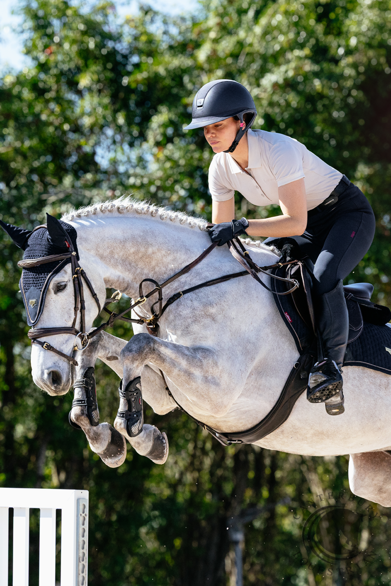 LeMieux Puissance Suede CC Pad Navy