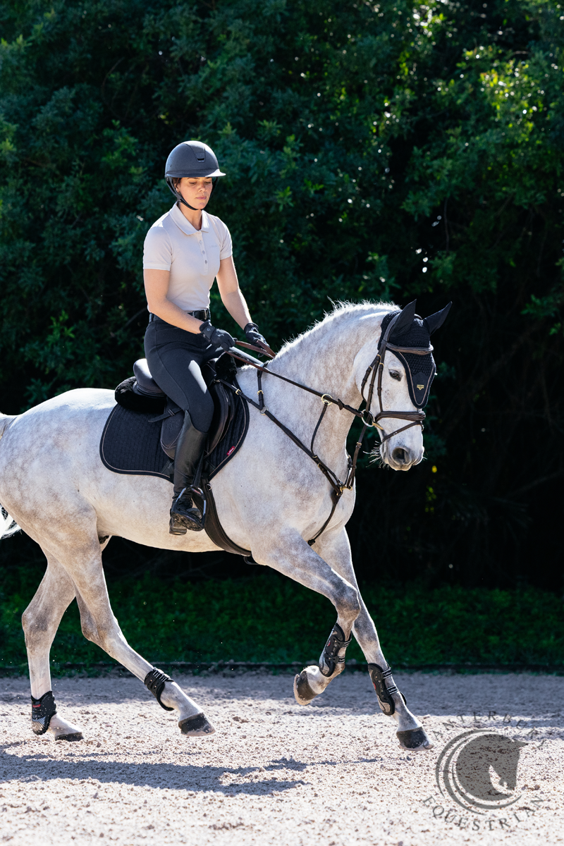 LeMieux Puissance Suede CC Pad Navy