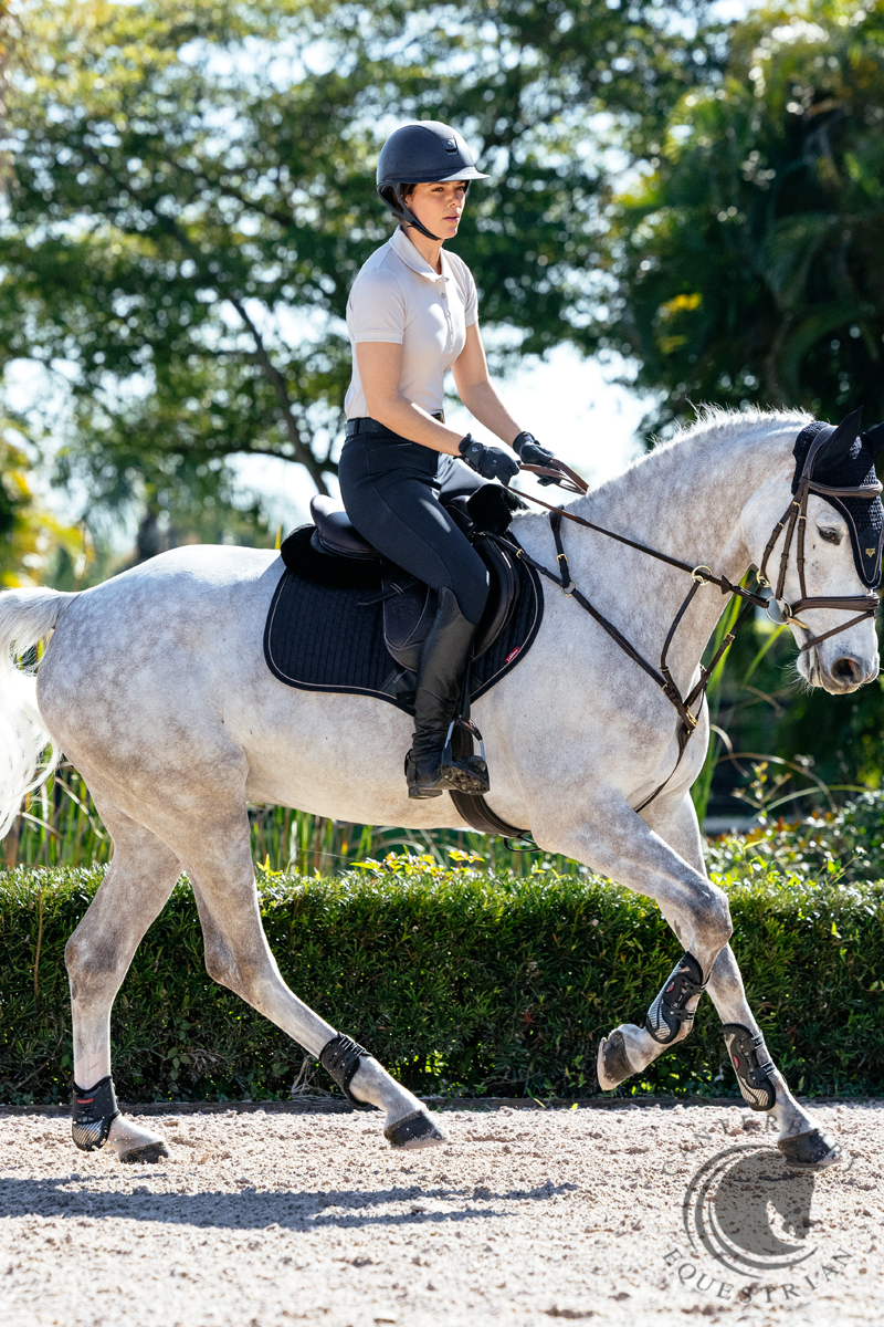 LeMieux Puissance Suede CC Pad Navy