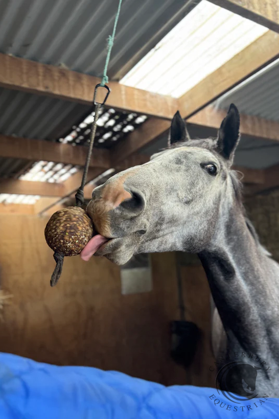 Health Horse Stay Ball