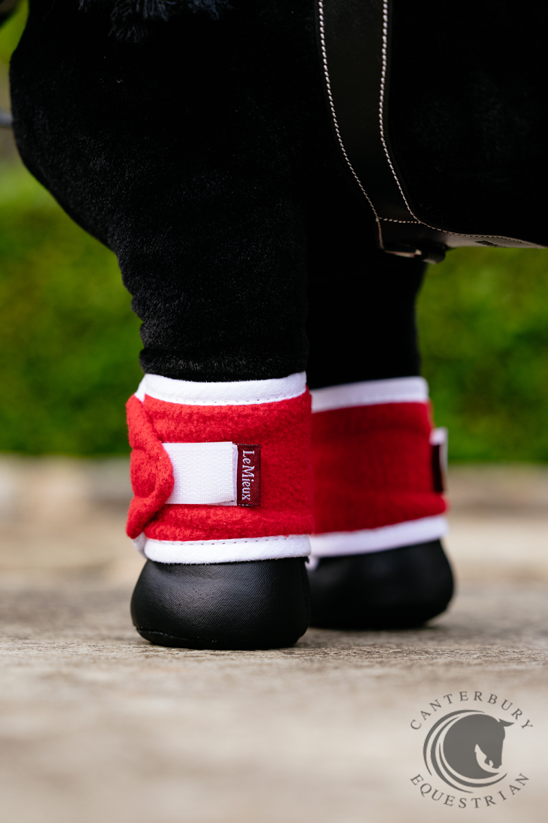 LeMieux Toy Pony Christmas Set Chilli