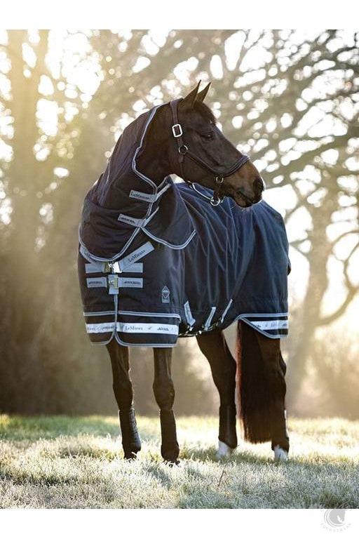 LeMieux Arika Storm-Tek Rug 350g