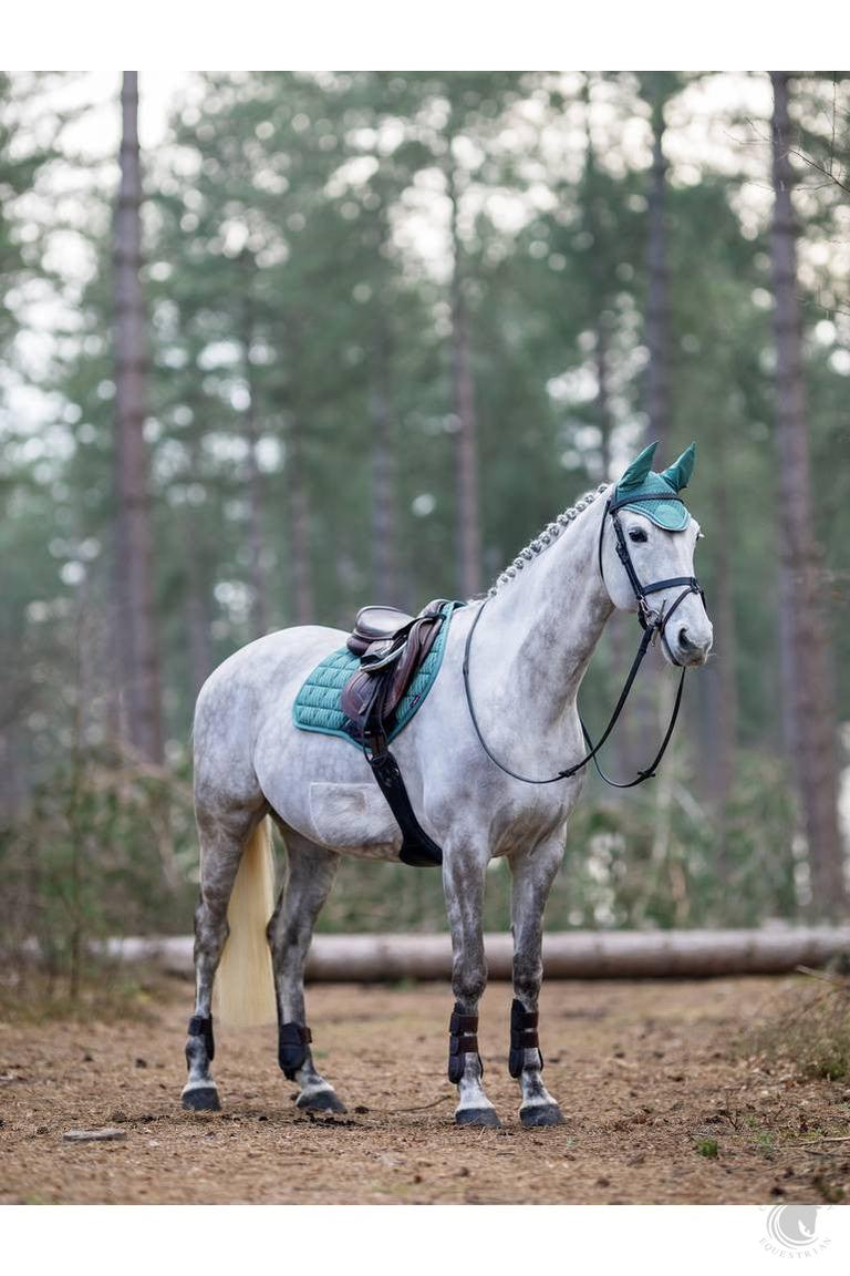 LeMieux Classic Fly Hood Peacock