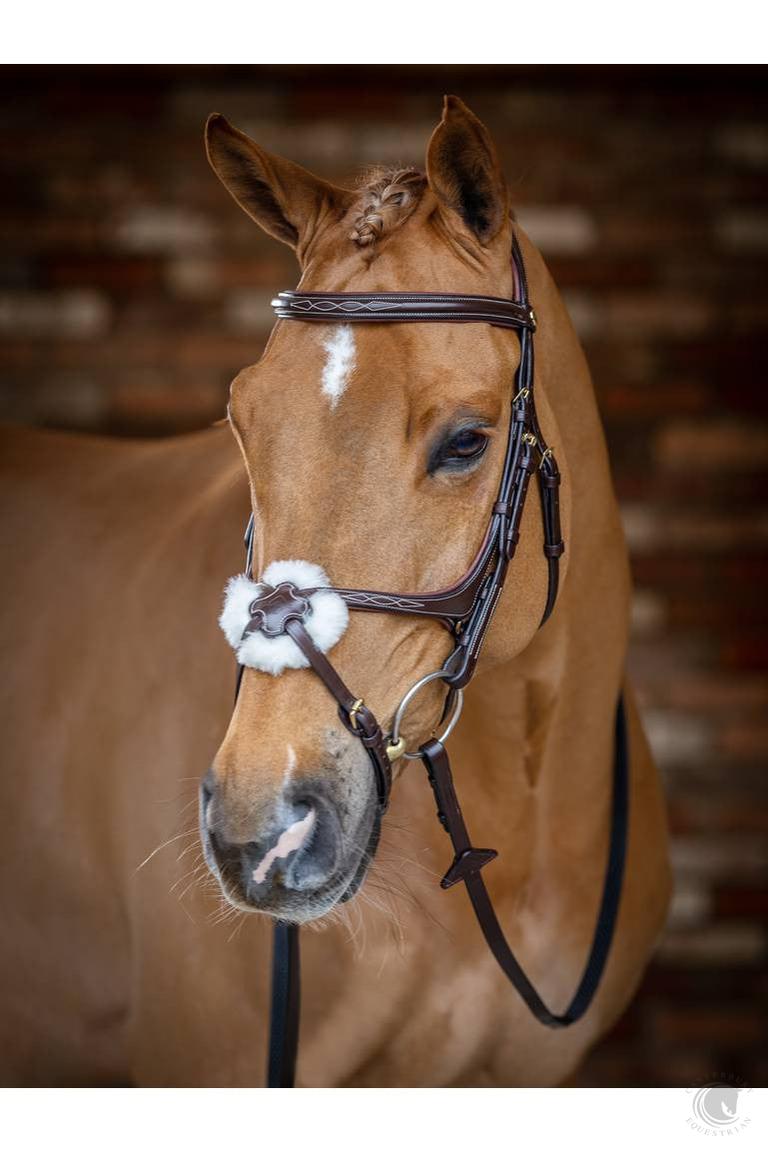 LeMieux Figure 8 Bridle Havana Bridle