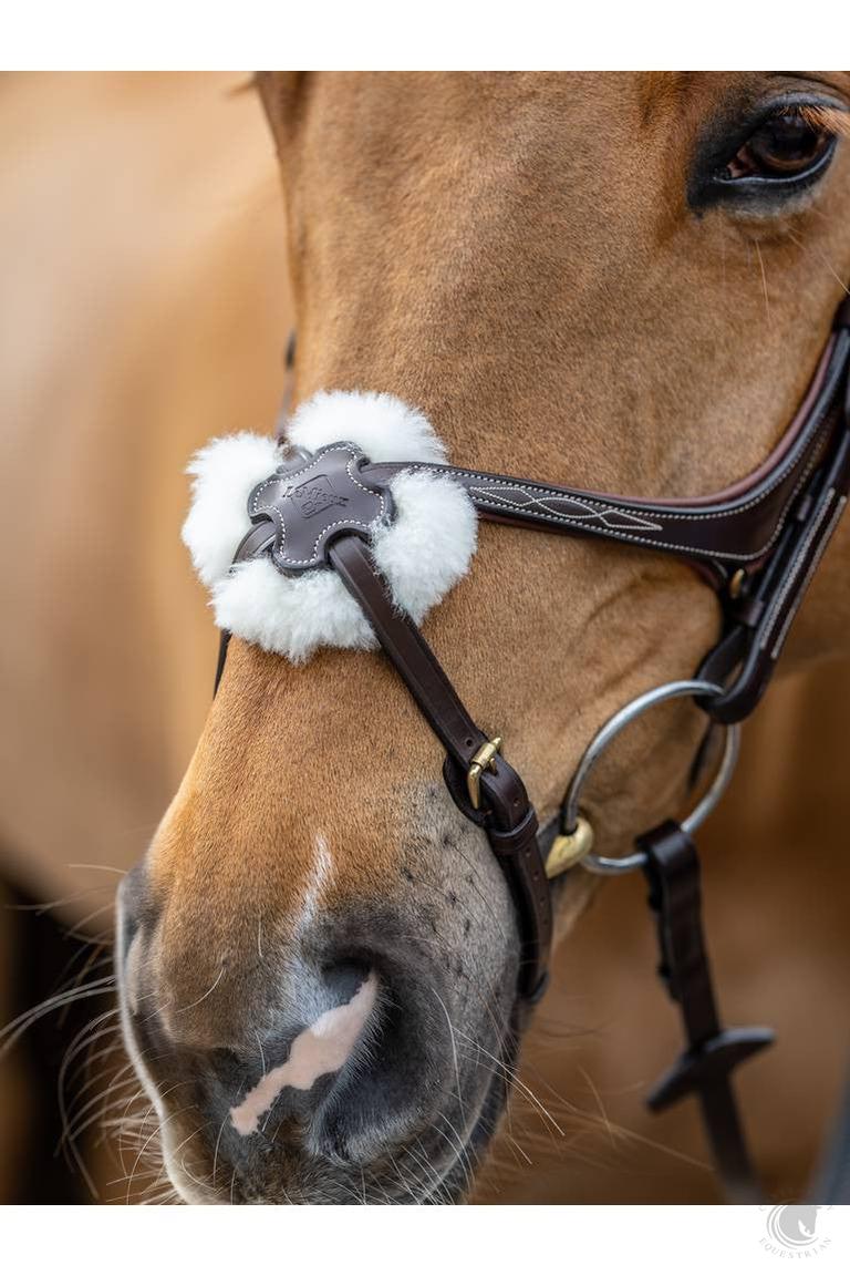 LeMieux Figure 8 Bridle Havana Bridle