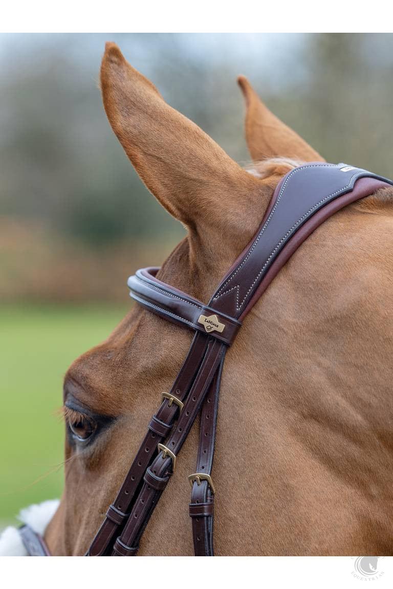 LeMieux Figure 8 Bridle Havana Bridle