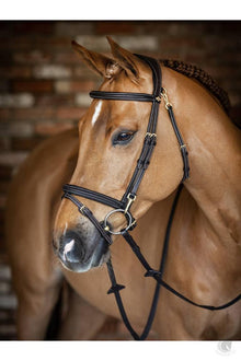  LeMieux Kudos Work Bridle Brown