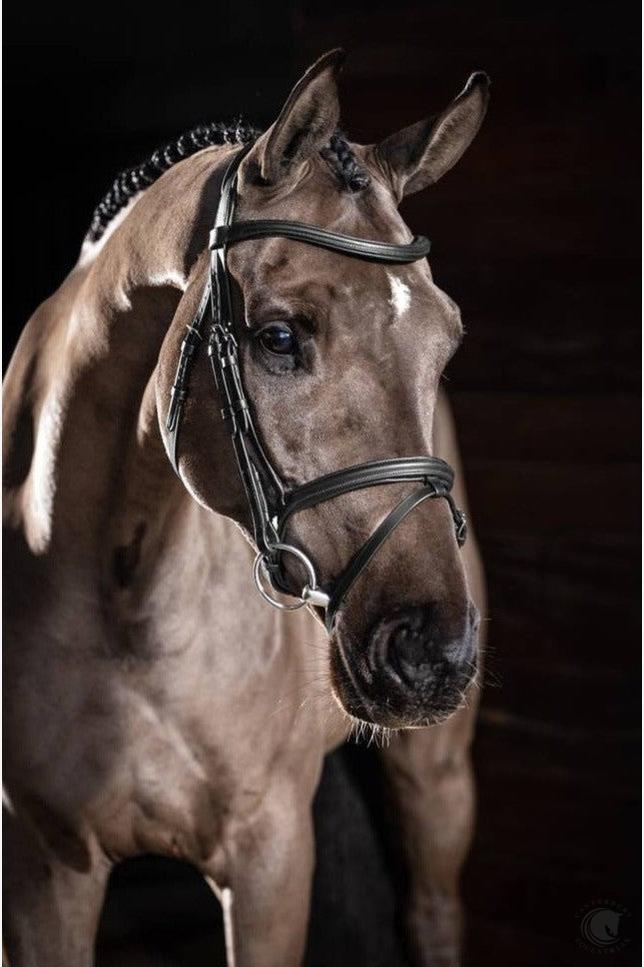 LeMieux Arika Flash Bridle Black/Silver