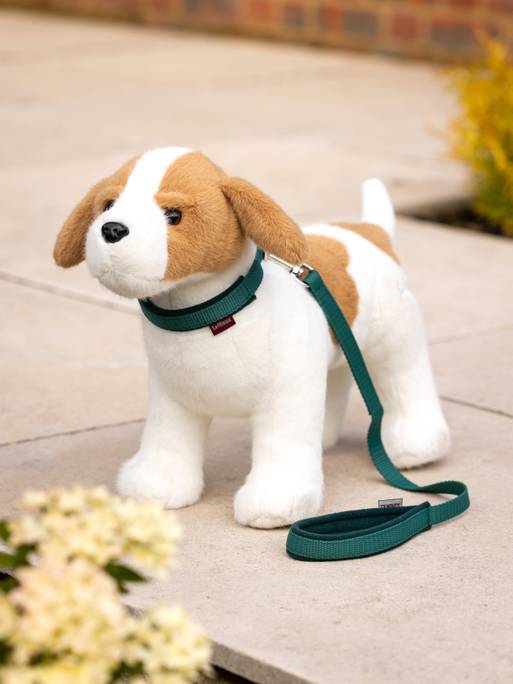 LeMieux Toy Puppy Collar and Lead Set
