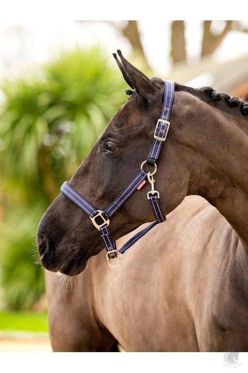 LeMieux Essential Safety Yard Headcollar
