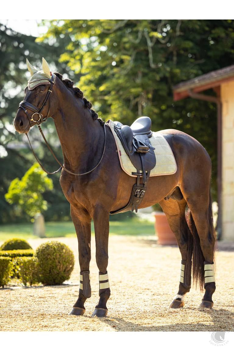 LeMieux Grafter Brushing Boots Fern