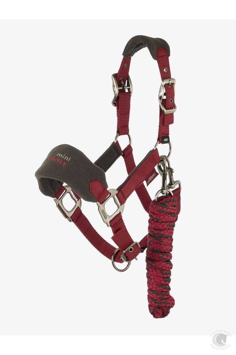 LeMieux Super Mini Vogue Headcollar Ember