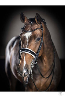  Lemieux Kudos Patent Dressage Double Bridle Black/White