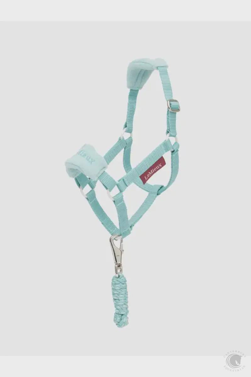 LeMieux Toy Hobby Horse Vogue Headcollar and Lead Lagoon