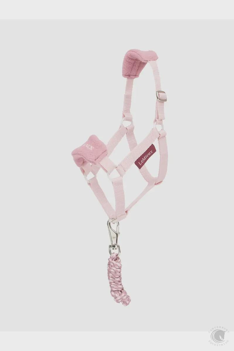 LeMieux Toy Hobby Horse Vogue Headcollar and Lead Blossom