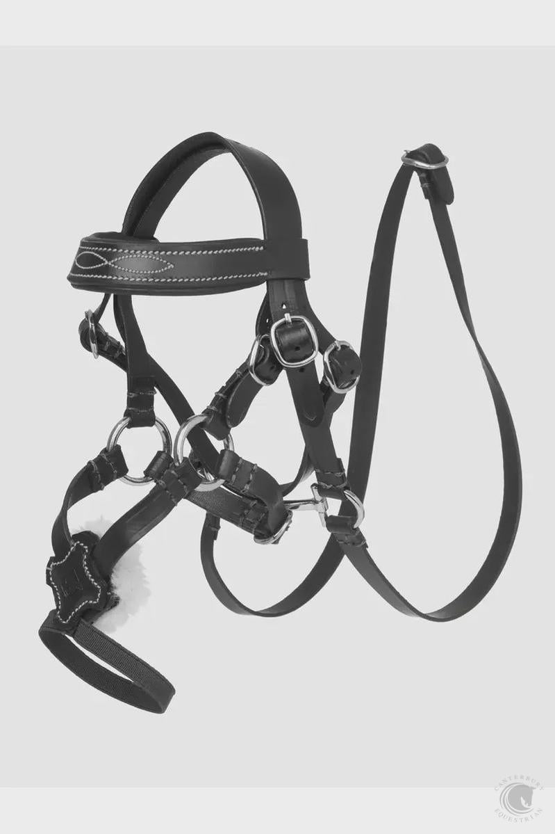 LeMieux Toy Pony Bridle Grackle Black