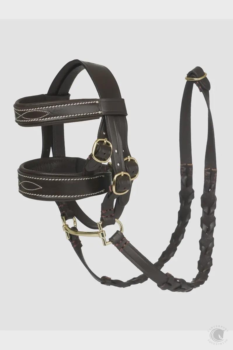 LeMieux Toy Pony Hunter Bridle Brown