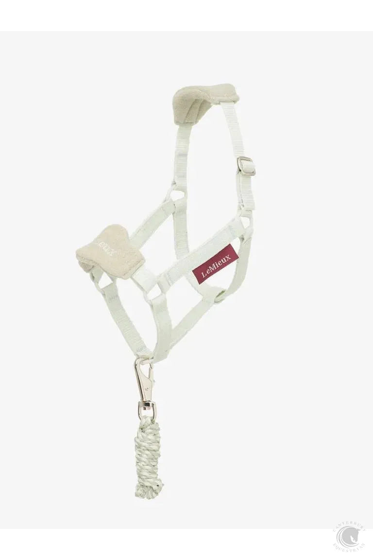 LeMieux Hobby Horse Halter Lead Set Fern