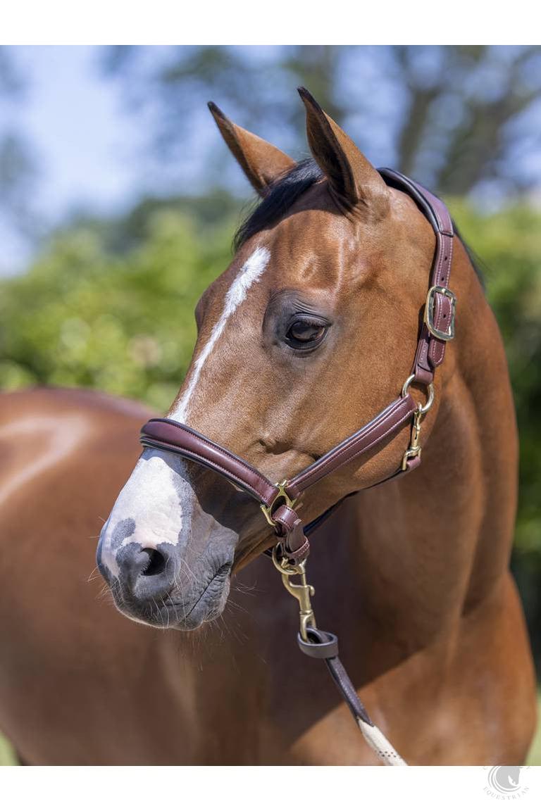 LeMieux Anatomic Headcollar Brown