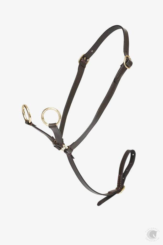 LeMieux Toy Pony Martingale Brown